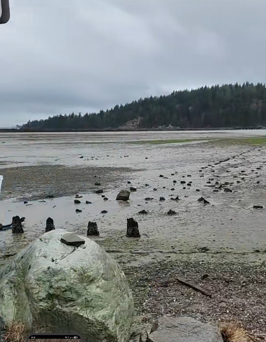Chuckanut Pocket Estuary