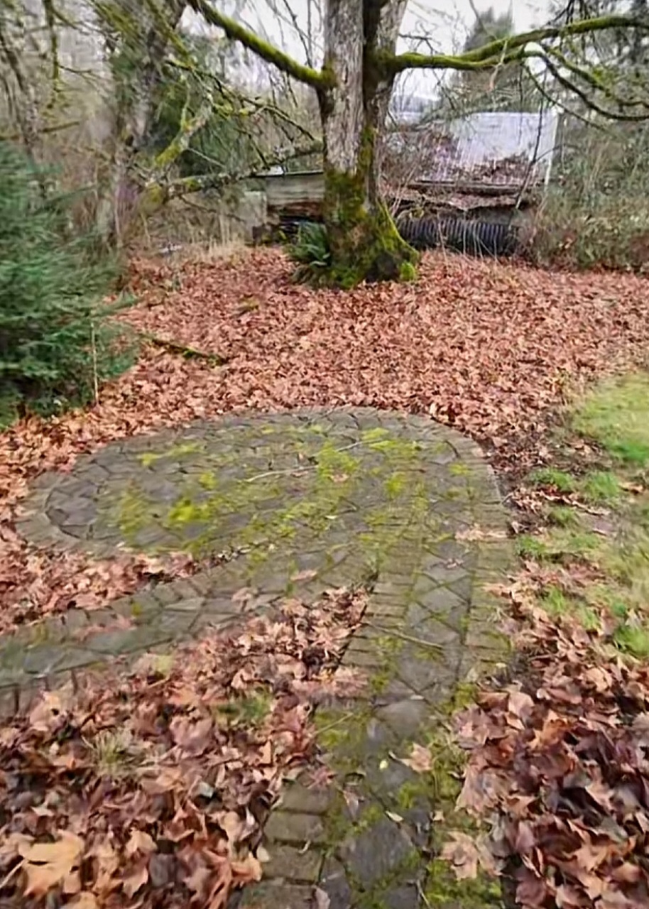 Labyrinth