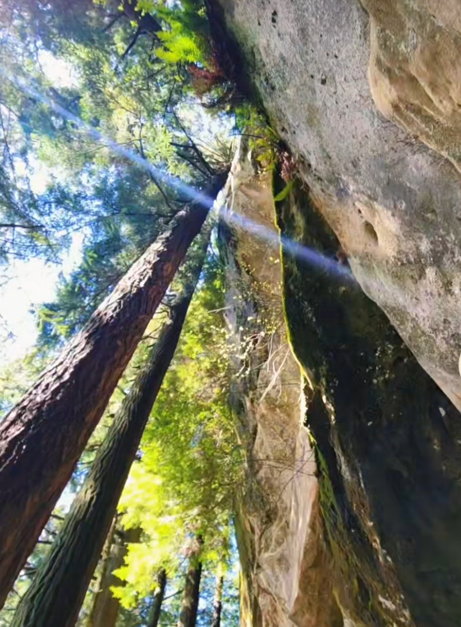 Rock Trail