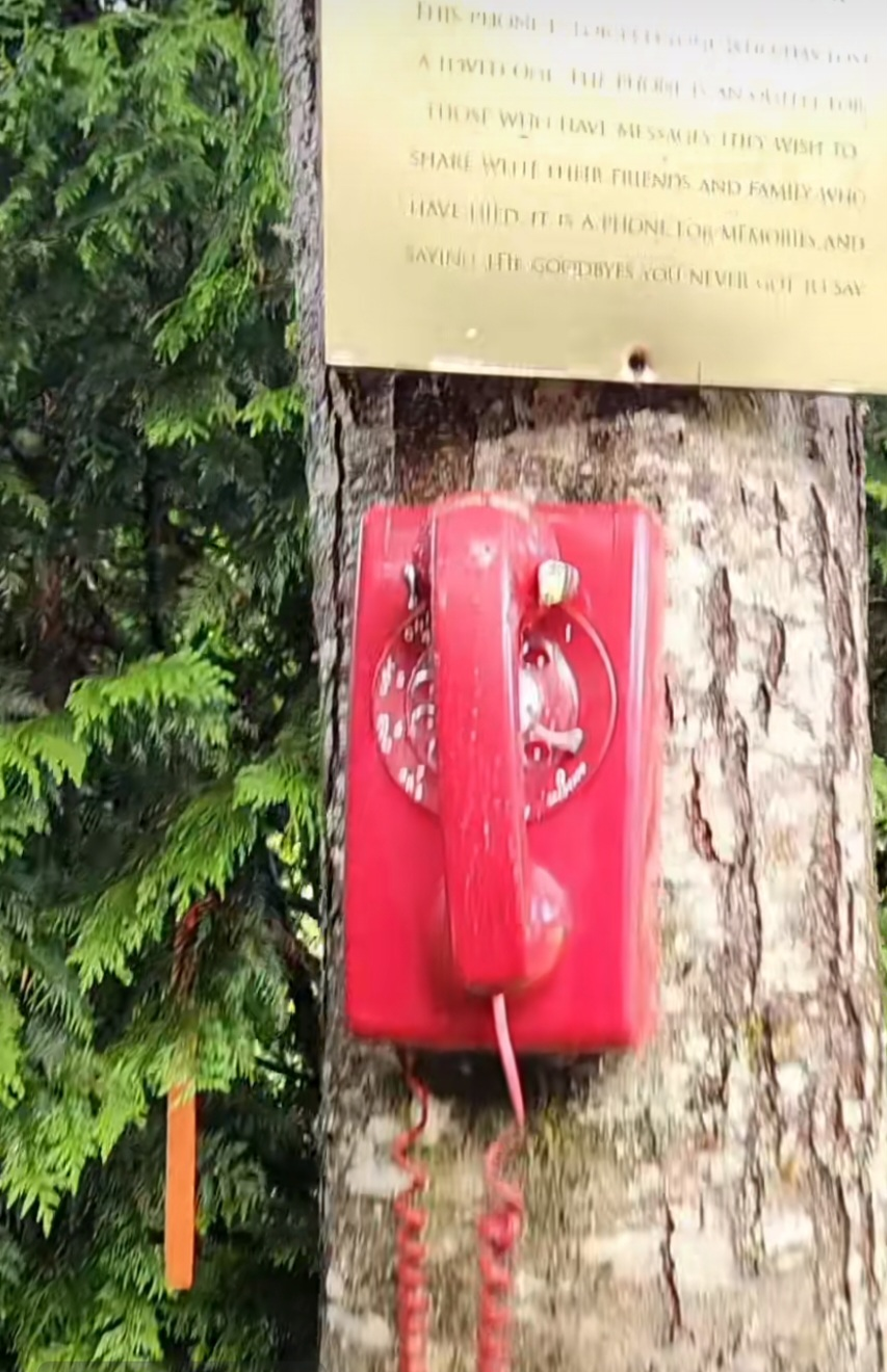 Phone of the Wind