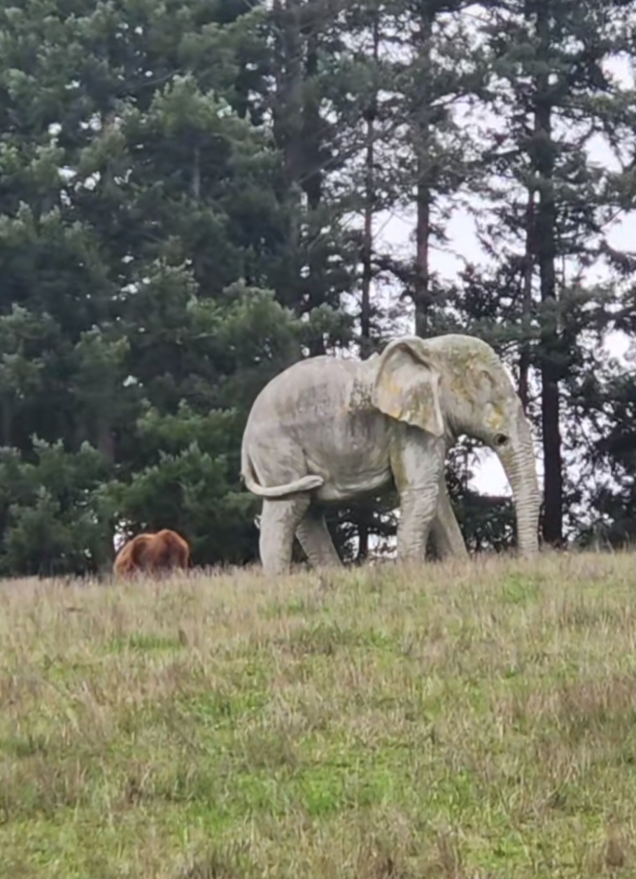 Stone Elephant