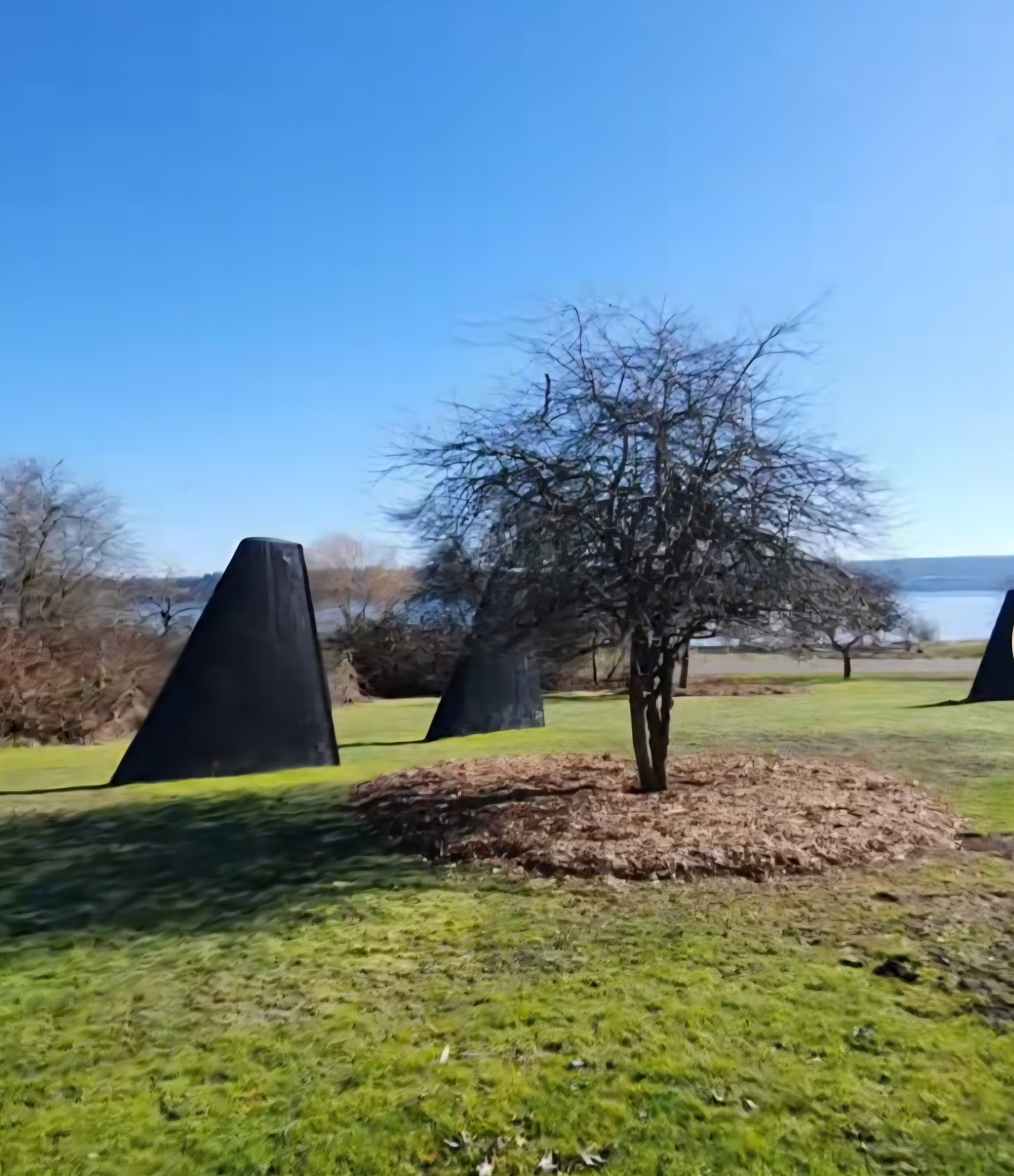"The Fin Project" by John T. Young (Public Art Installation)