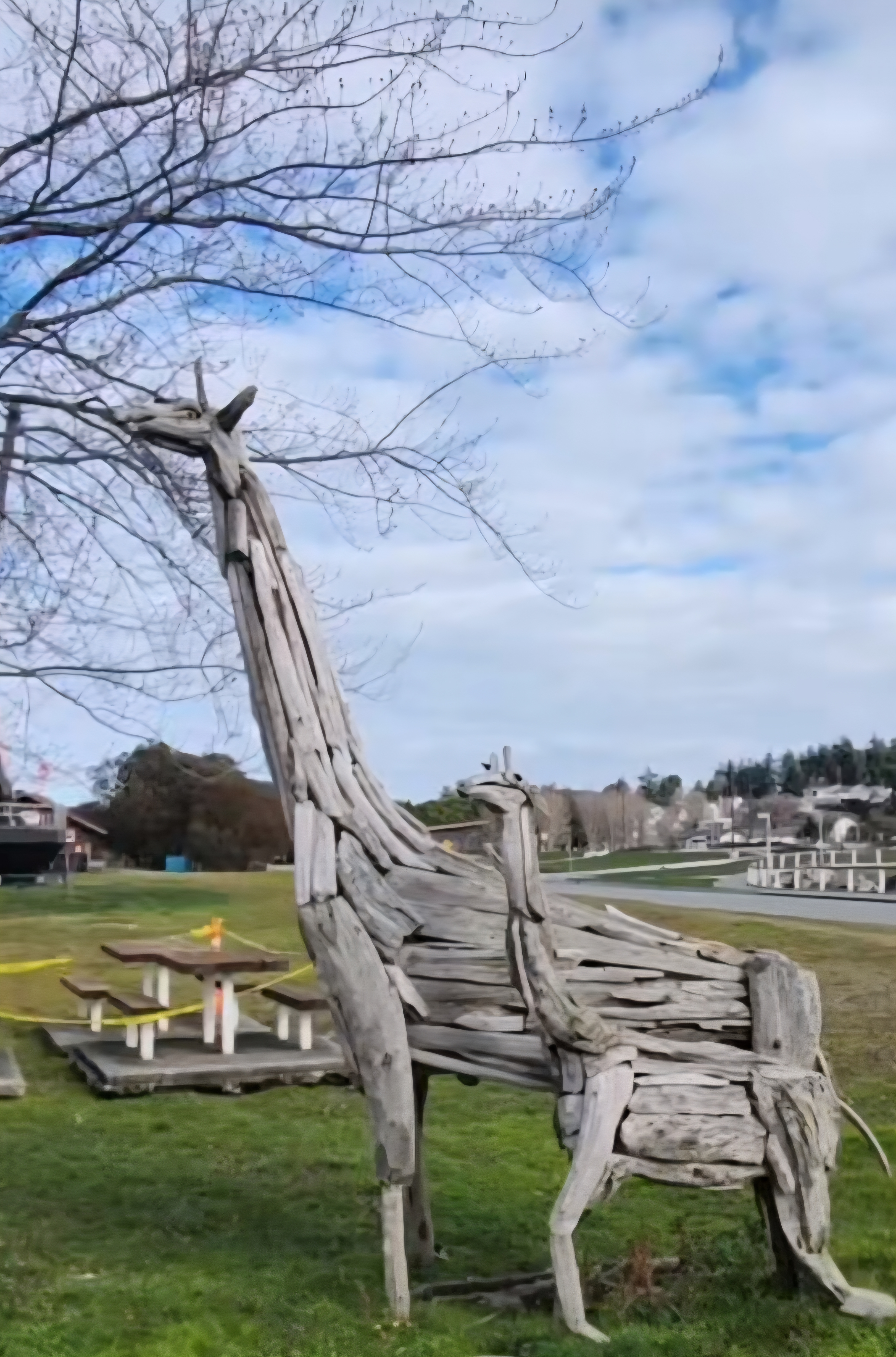 Driftwood Giraffes