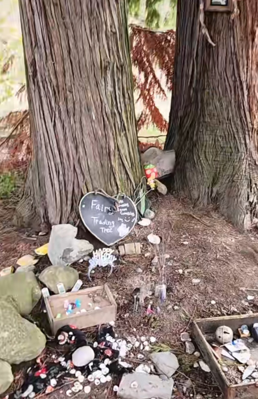 Fairy Trinket Trade
