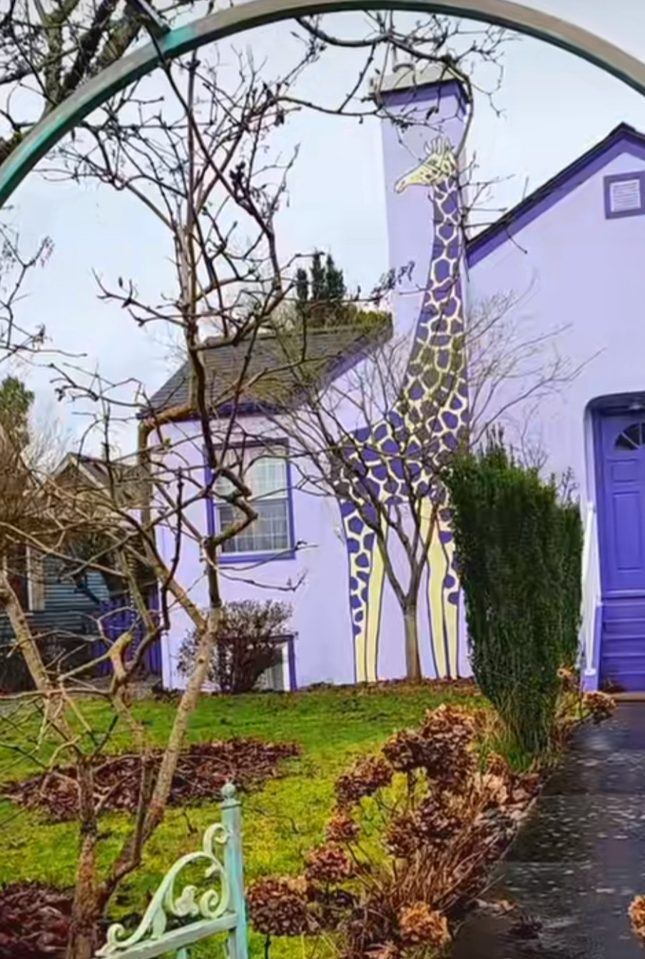 Purple Giraffe House