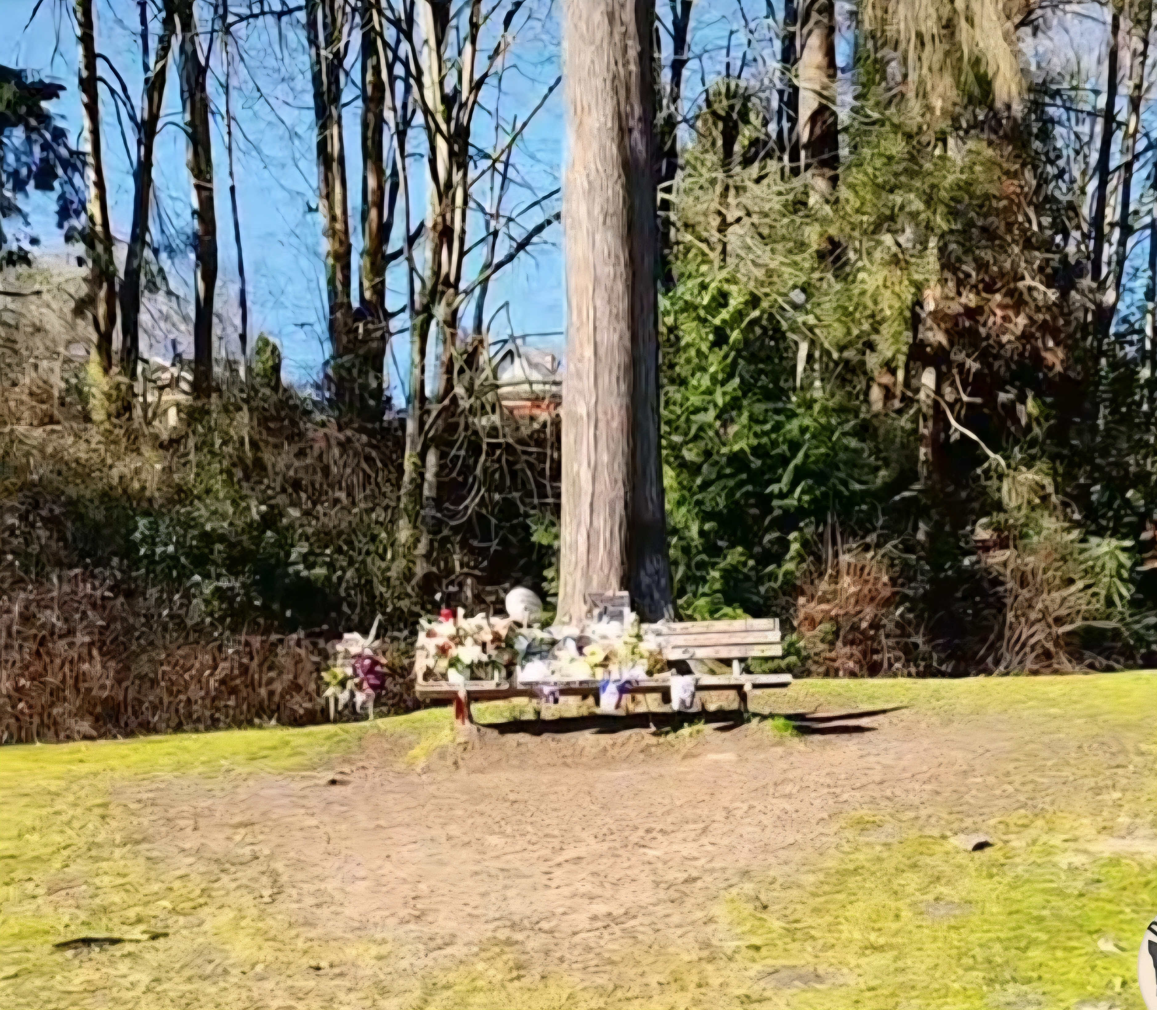 Kurt Cobain Memorial Bench