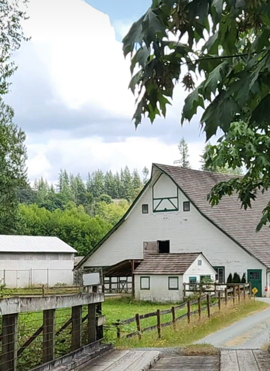 The Morgan Horse Ranch-The Ring Horror