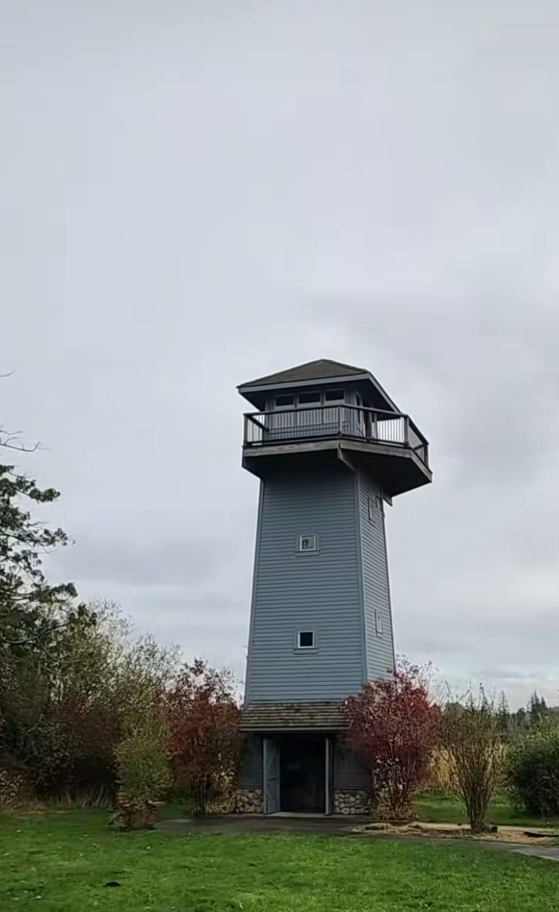 Tennant Lake Park-Boardway and Tower