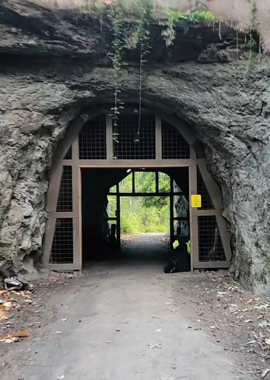 Arboretum Tunnel
