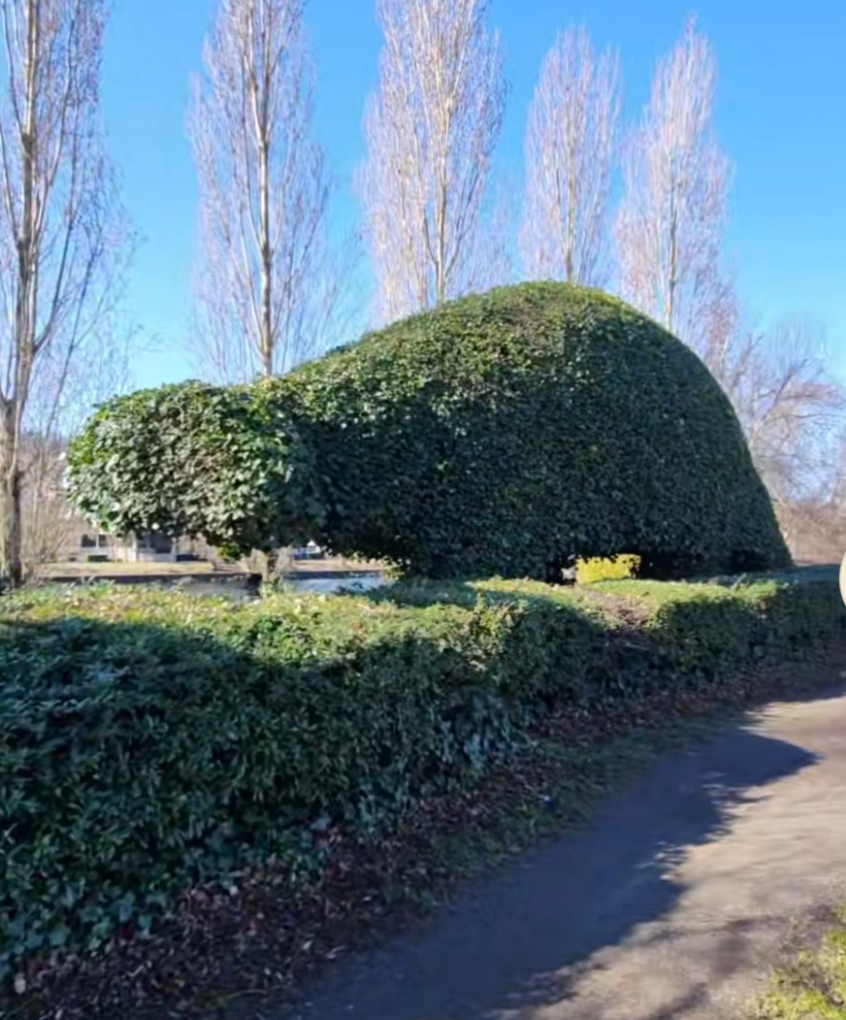 Freemont Dinosaur Topiaries
