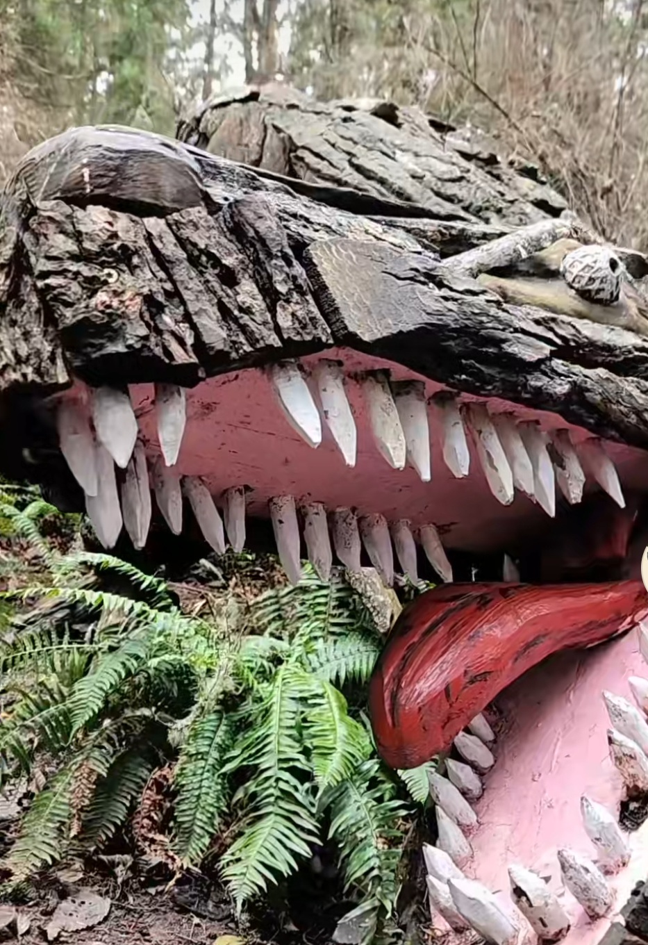 Price Sculpture Forest