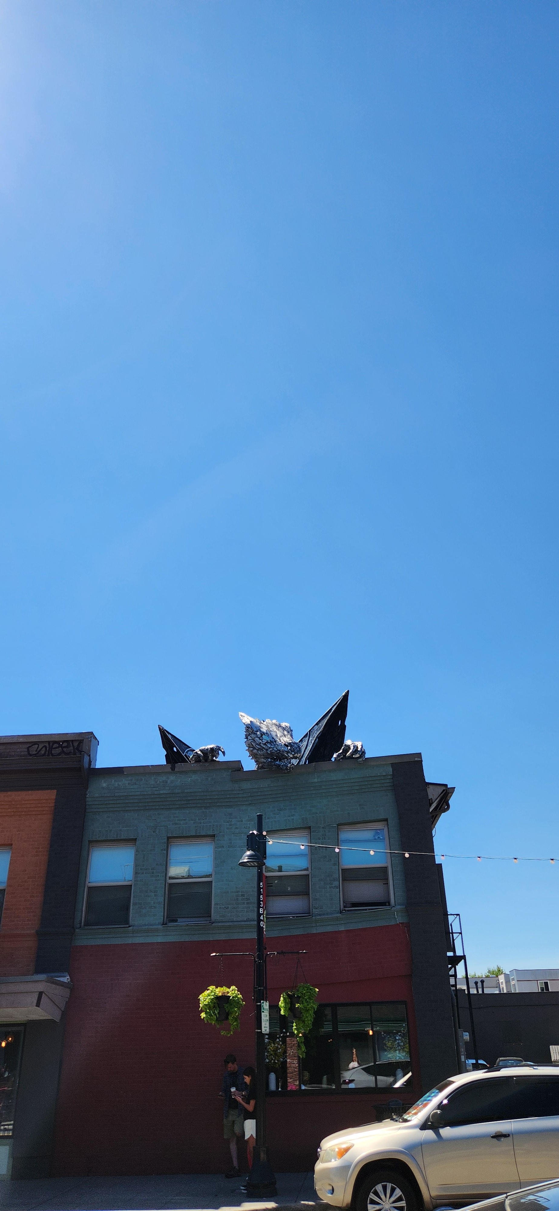 Erasmus the Rooftop Dragon