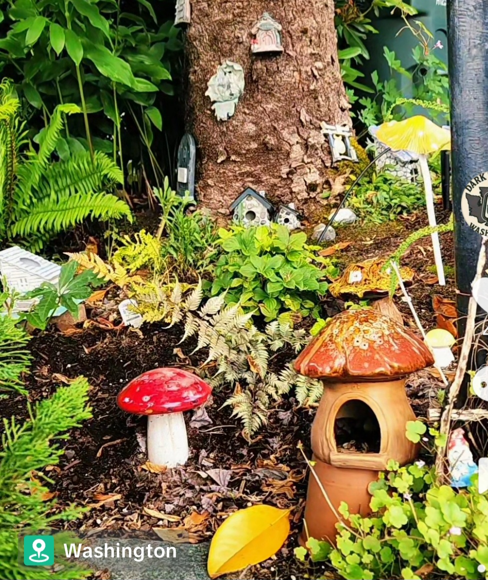 Fairy Garden