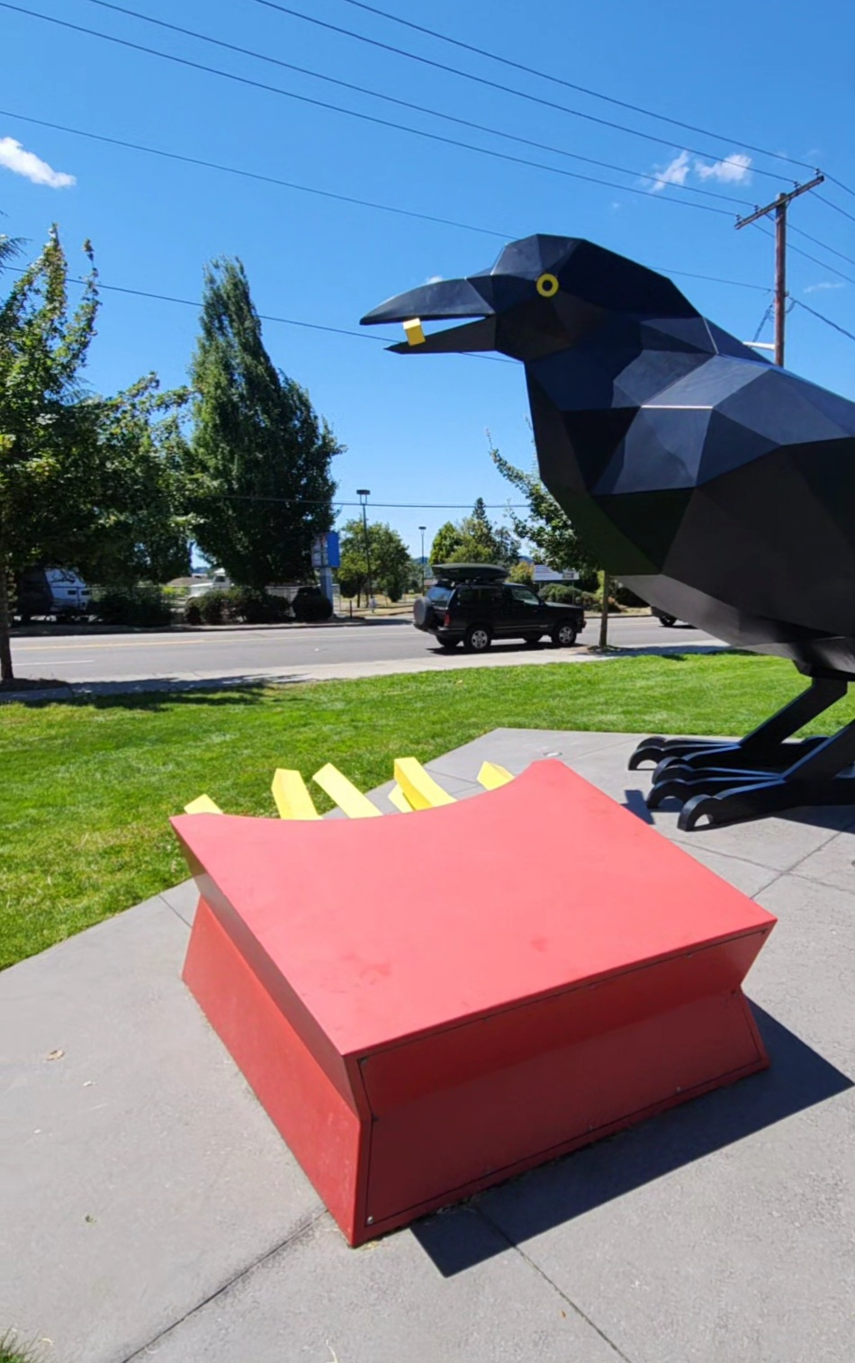 Crow with Fries