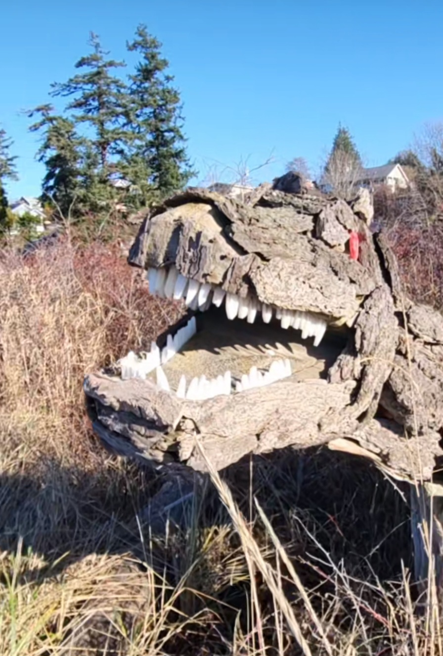 Driftwood Dinosaurs