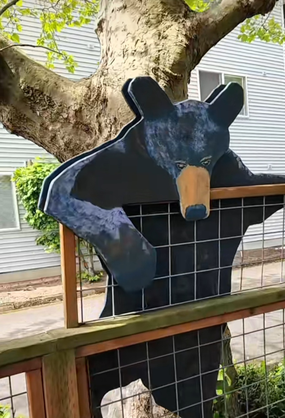 Neighborhood Zoo