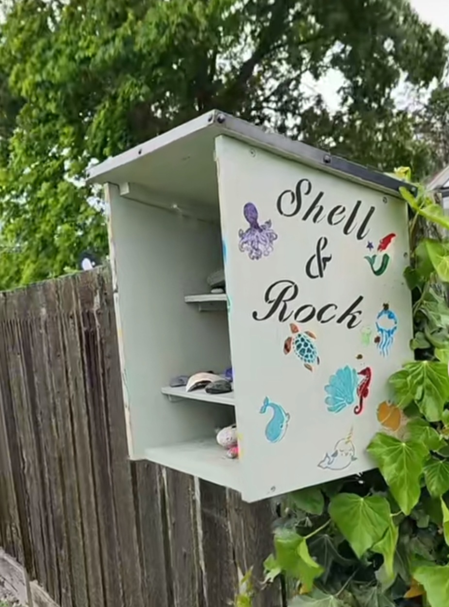 Seashell & Rock Exchange