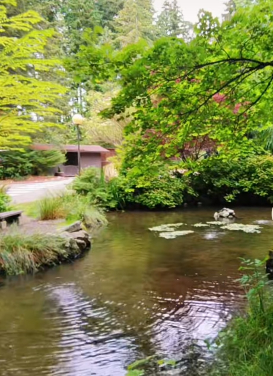 South Campus Pond-WWU