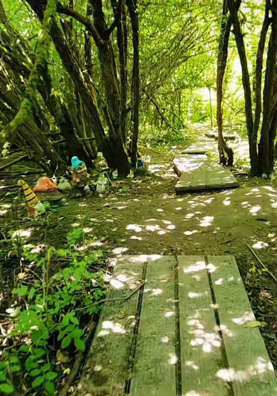 Hobbit Trail
