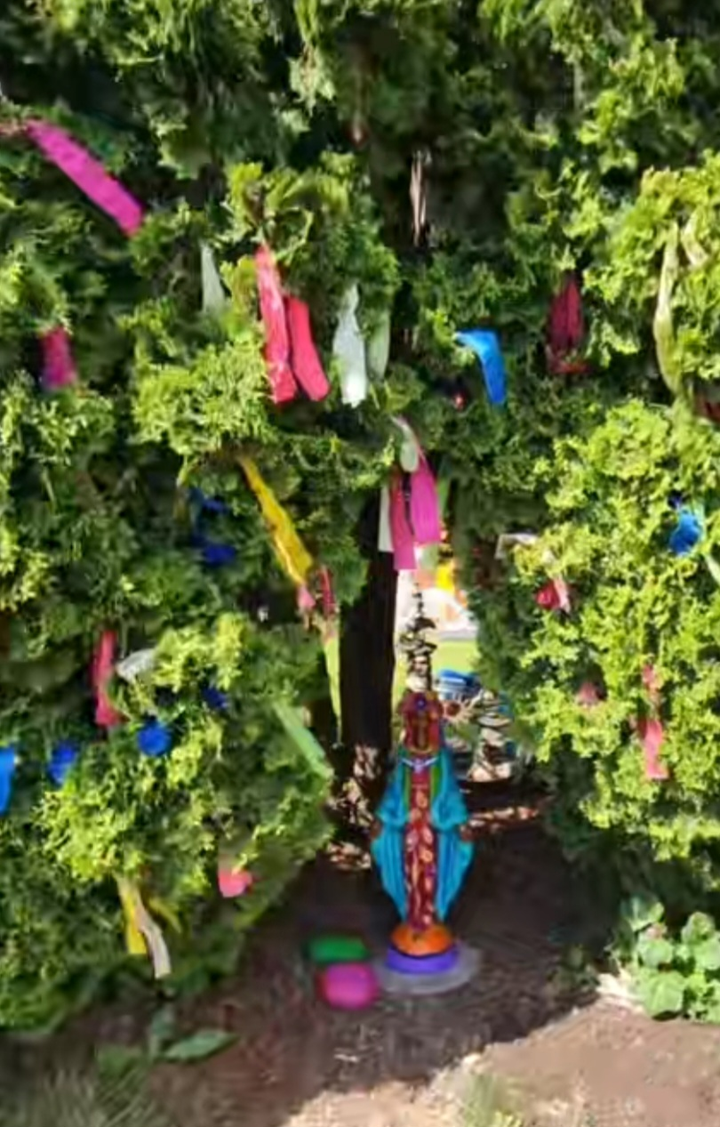 Wishing Tree