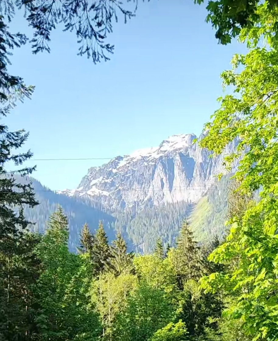 Espresso Chalet-Harry and the Hendersons