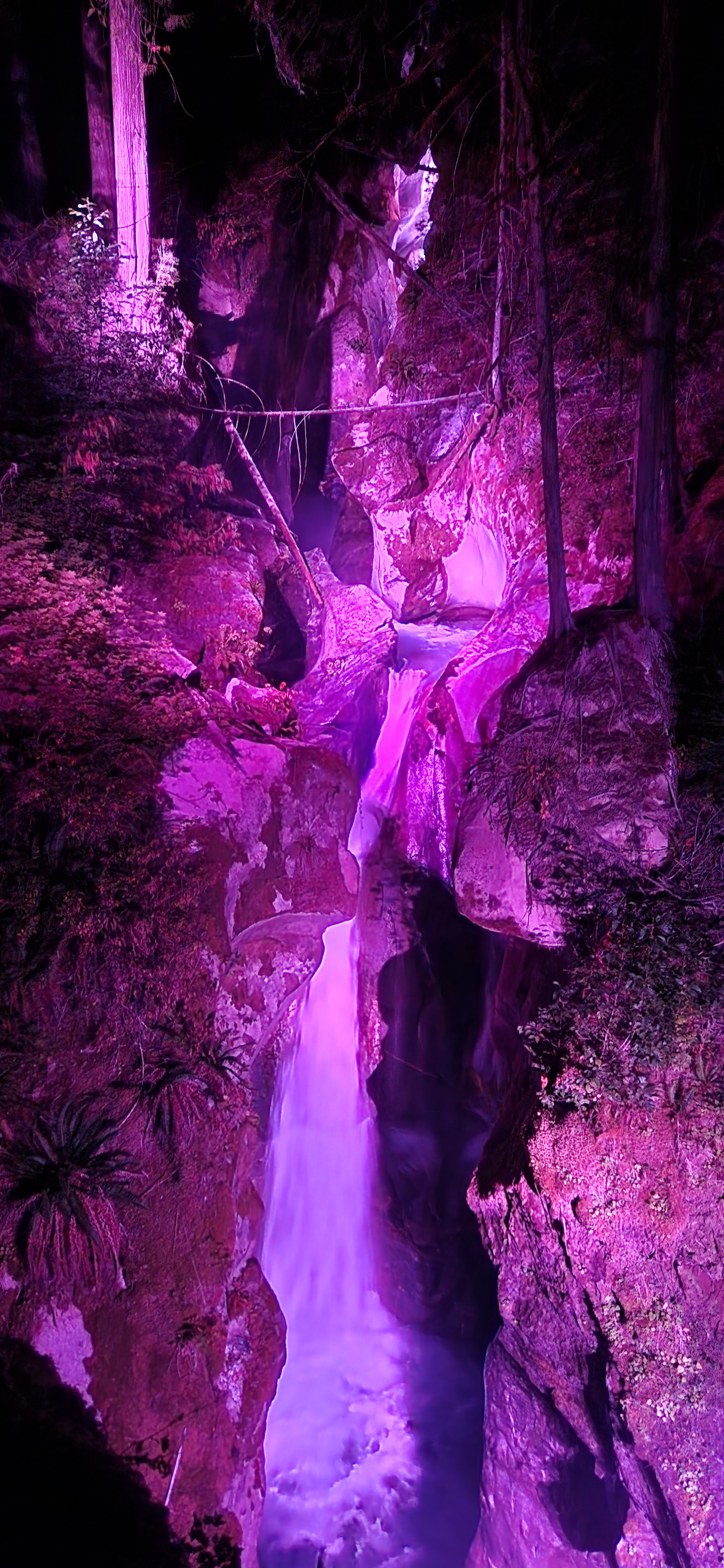 Illuminated Falls and Gardens