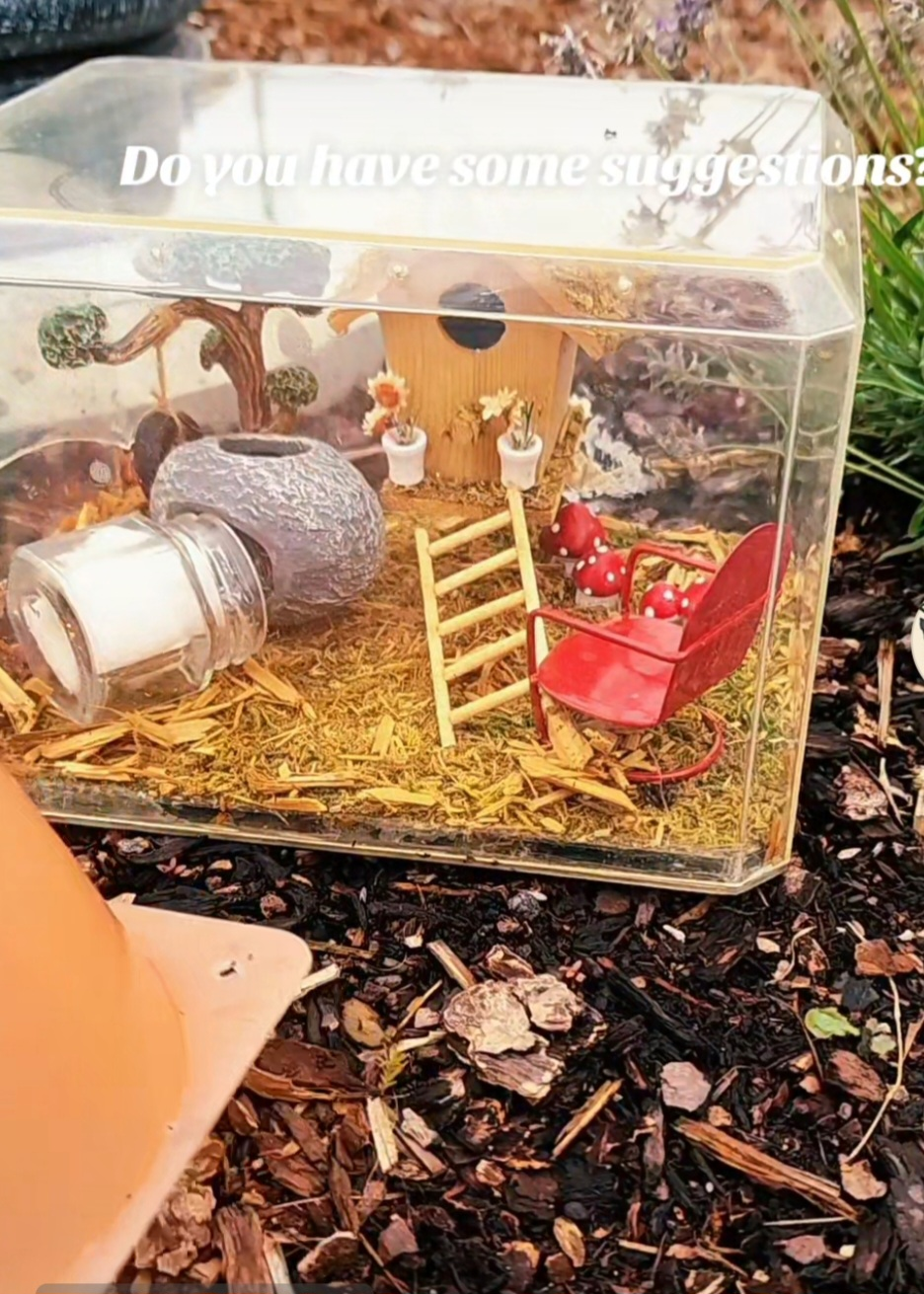 Miniature House