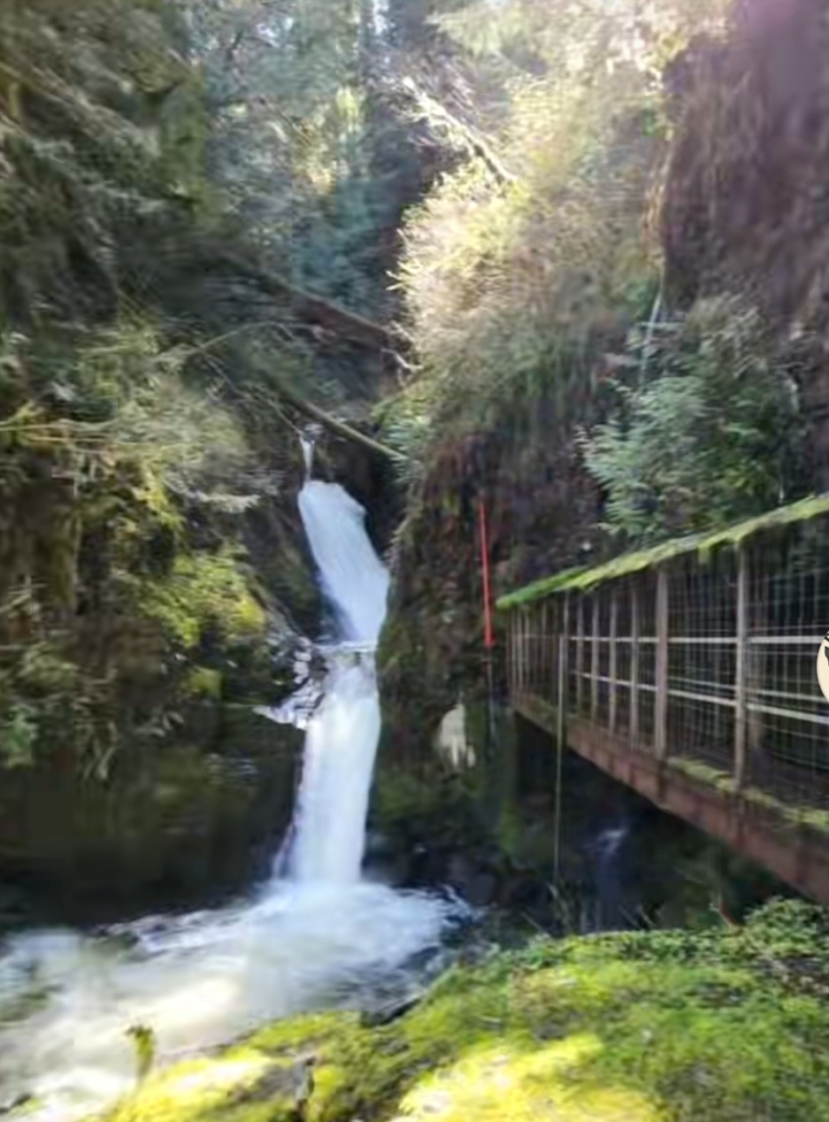 Gilligan Falls