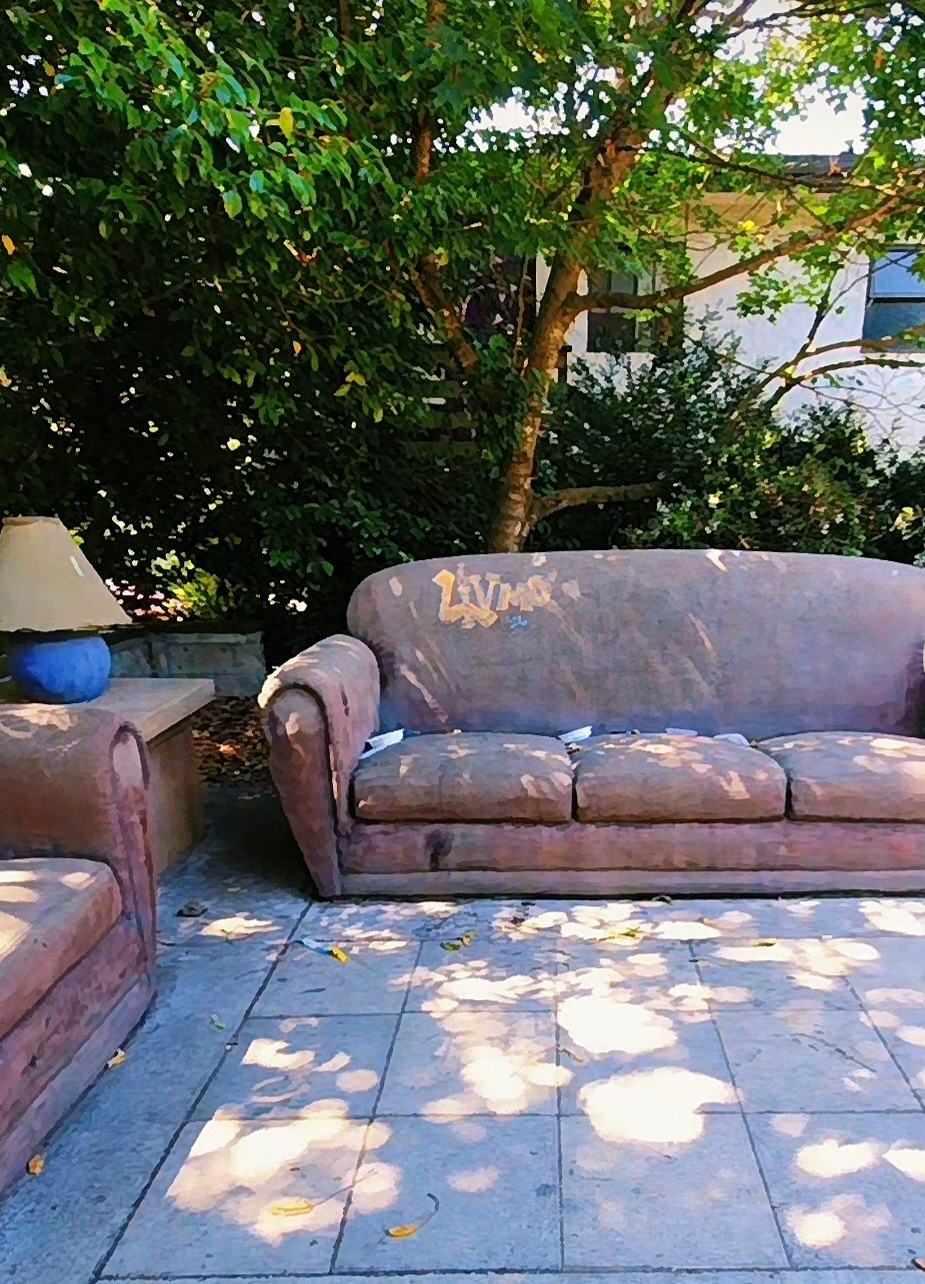 The Living Room