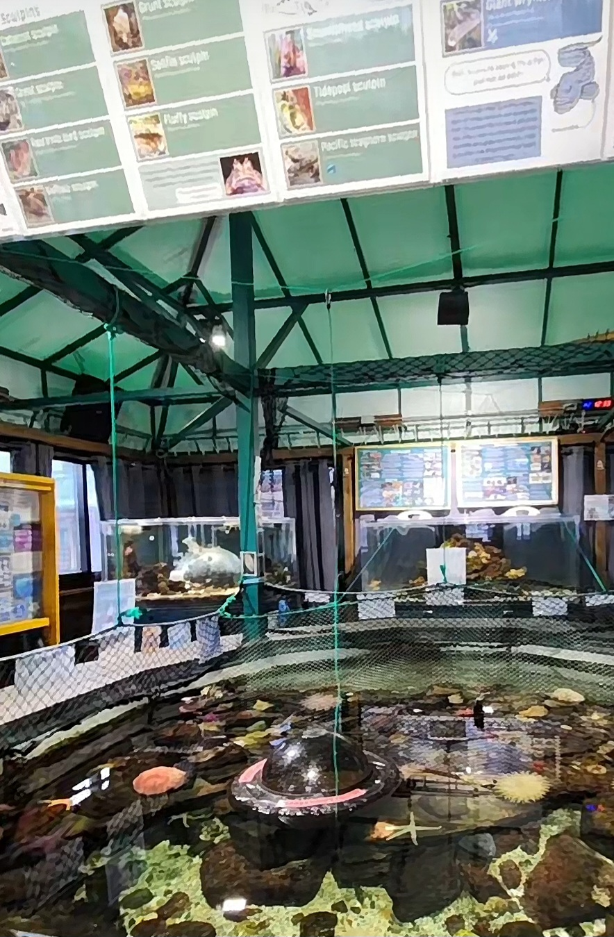 Marine Life Center
