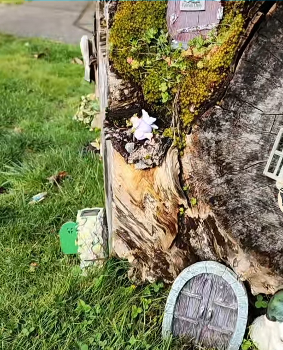 Fairy Stump