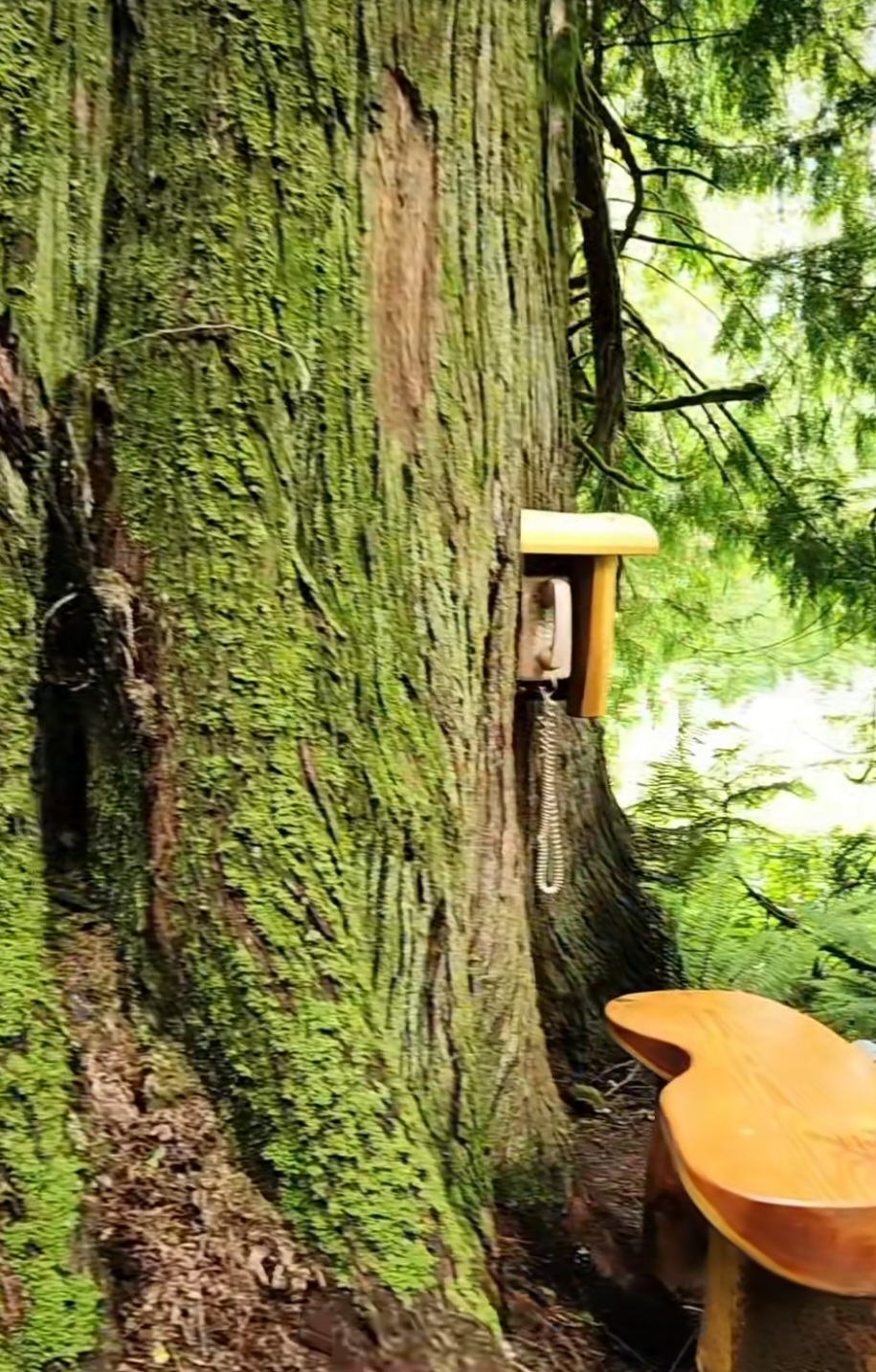 Northern State Wind Phone
