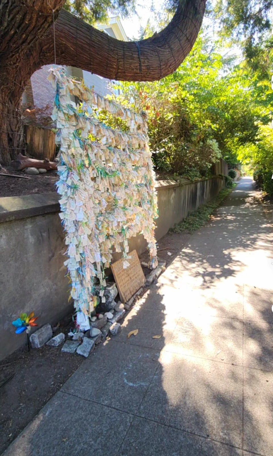 Capitol Hill Wishing Tree