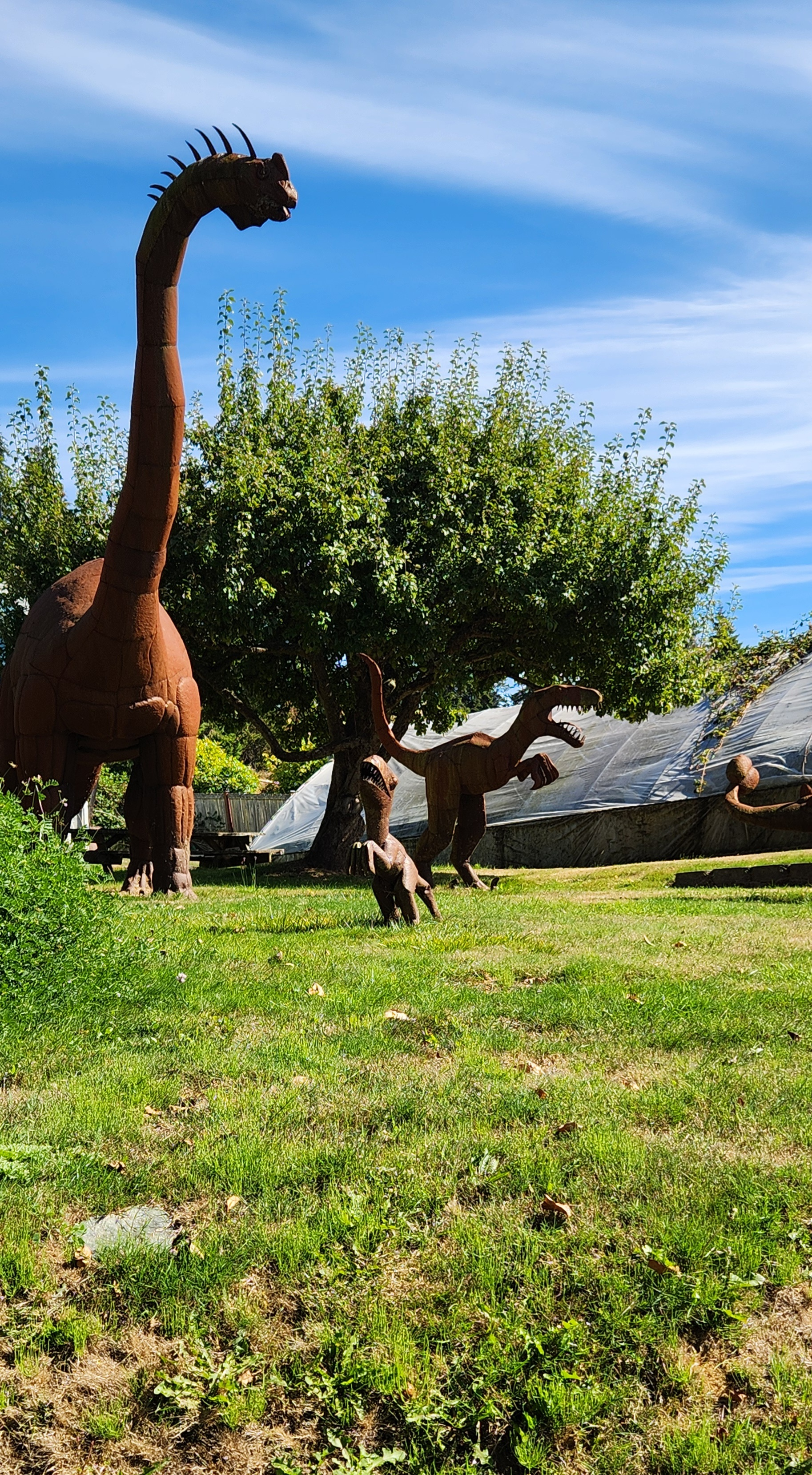 Dinosaur Yard