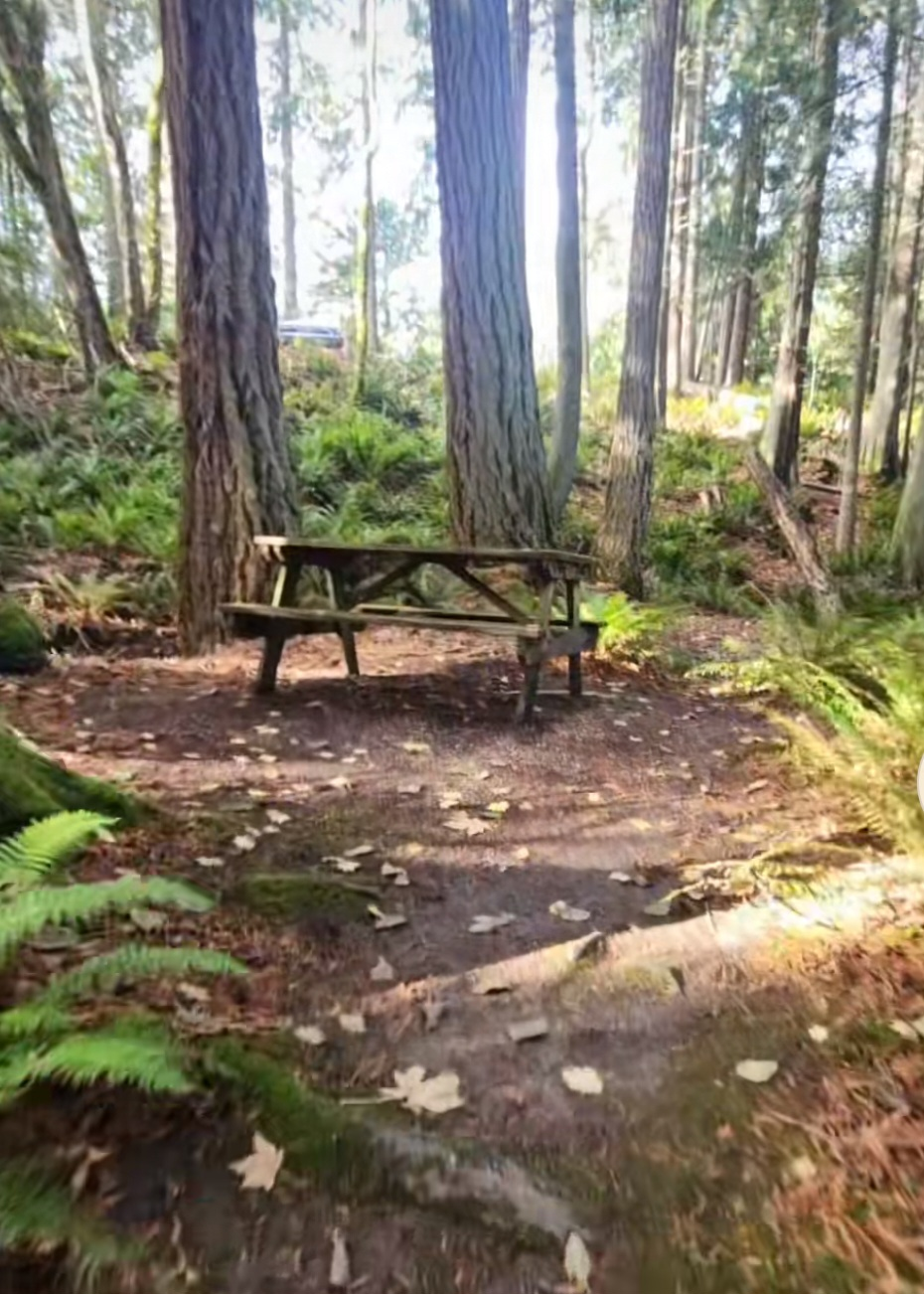 Ted Edwards Park