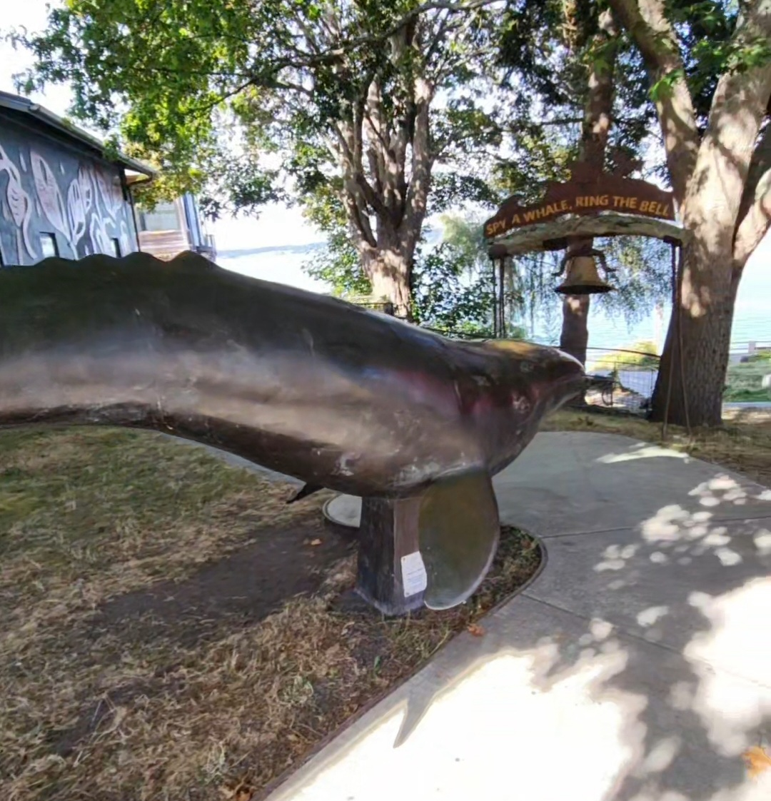 "Hope" the bronze Wishing Whale