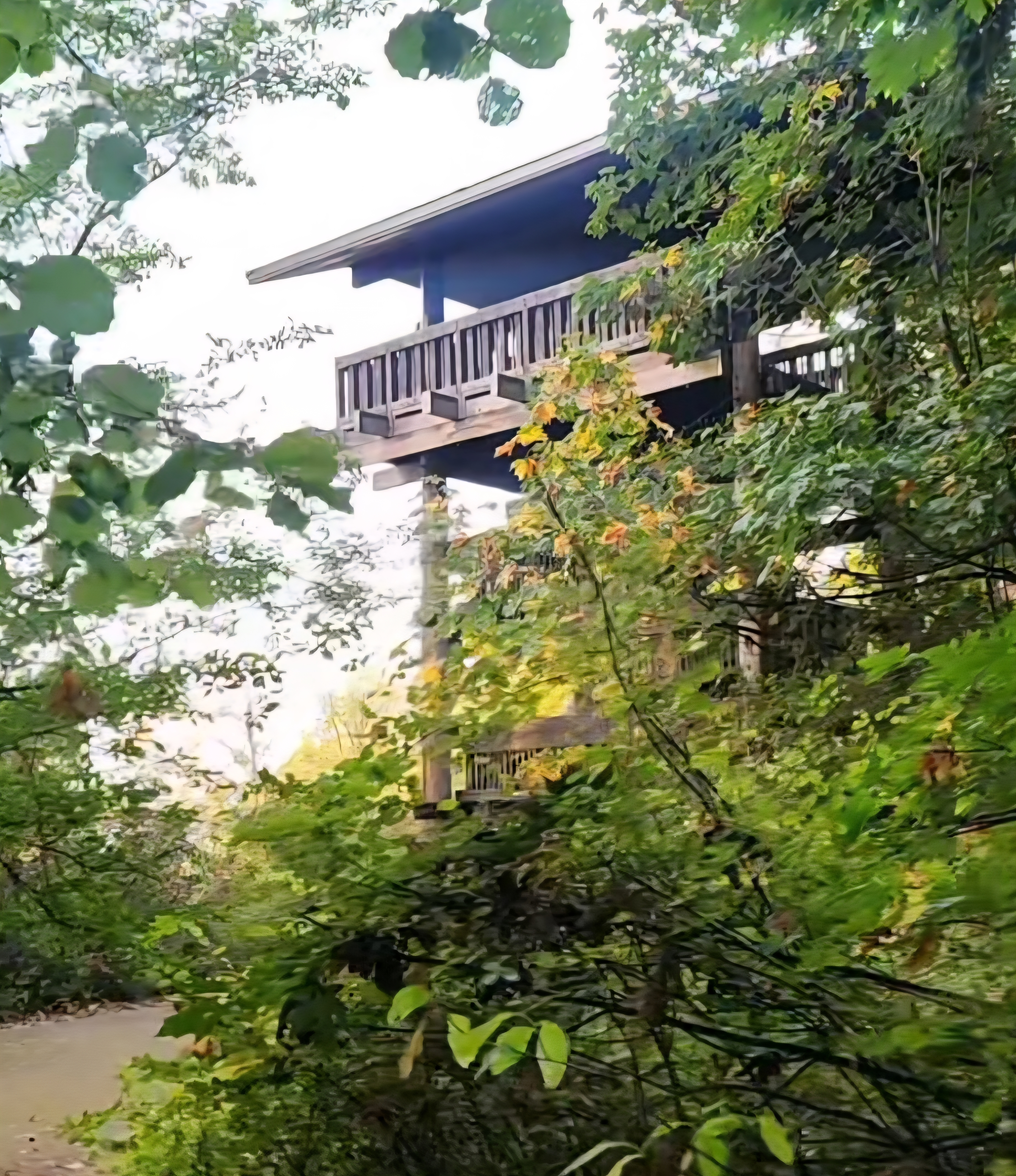 Sehome Arboretum View Tower